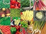 from Haddons 15 packs of vegetable seeds - SWEDE, CARROT, PEPPER etc