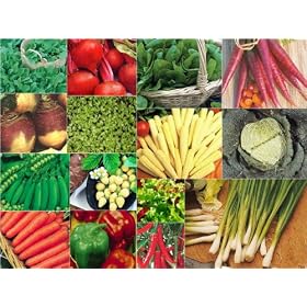15 packs of vegetable seeds - SWEDE, CARROT, PEPPER etc