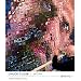 Chuck Close: Work