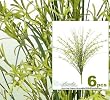 SIX 20" FLower & Grass Artificial Silk Plants _white