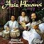 Master of Afghani Lutes