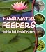 Freshwater Feeders: Studying Food Webs in Freshwater