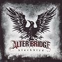 Blackbird