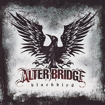 Blackbird
