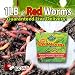 1 Lb Redworms (Red Wigglers) for Composting