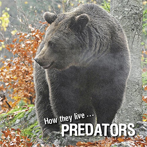How they live... Predators: Learn All There Is to Know About These Animals!