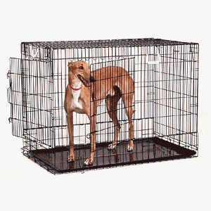 General Cage 224-2D Premium Line 2-Door 36 Inch Dog Crate - Black Epoxy Finish With Plastic Pan