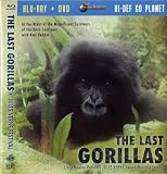 Jules Verne Adventures the Last Gorillas