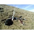 High Ground Wrecks and Relics: Aircraft Hulks on the Hills and Mountains of the UK and Ireland (Aviation Pocket Guide)