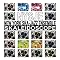 favourite SKA