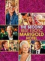 The Second Best Exotic Marigold Hotel