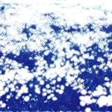 microcosmos