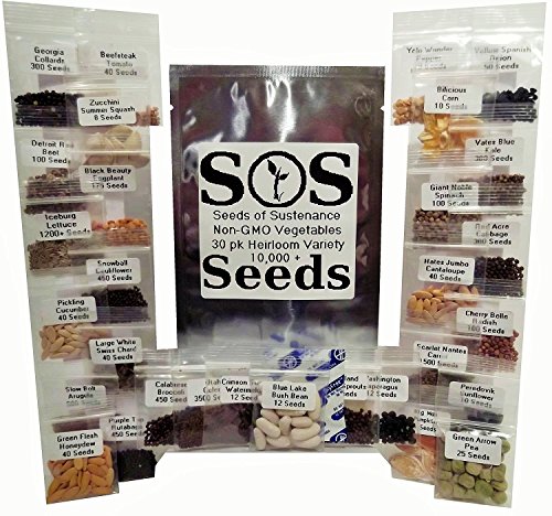 10,000+ Organic Vegetable Seeds 30 Pack Variety 10,000+ Organic Vegetable Seeds 30 Pack Variety