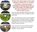 Book The Incredible Earn More Money, Inner Game and Sales Models for Rafting Supplies Internet Businesses 3 CD Power Pack