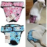 Bro'Bear Adjustable & Washable Female Pet Diaper for Medium to Large Girl Dog Sanitary Pantie (Pack of 2, Large)