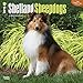 Shetland Sheepdogs 2015 Wall Calendar