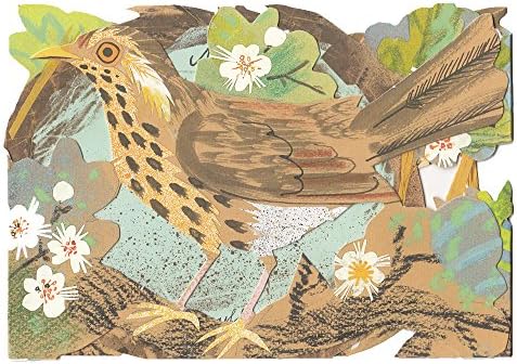 Mark Hearld's Menegerie Nesting Birds Greeting Card