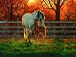 MINI - Quiet Time Mini 7x9 100pc Jigsaw Puzzle by Chris Cummings