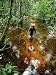 An Expedition Member Slogs Through a Swamp Photographic Poster Print, 18x24
