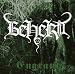 Music : Engram