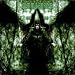 Enthrone Darkness