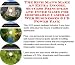 The Ultimate How To Earn Extra Money, Marketing and Success Principles for Disposable Cameras Web Biz 3 Course + Resource Guide