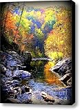 IMAGE OF Upstream Canvas Print / Canvas Art - Artist Karen Wiles