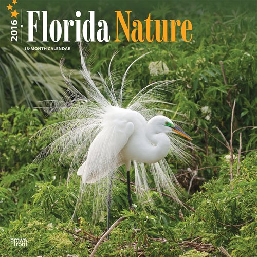 Florida Nature 2016 Square 12x12 (Multilingual Edition)