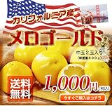 【送料無料】お試し品！カリフォルニア産 メロゴールド 中玉2玉（800ｇ）