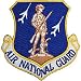 U.S. Air Force Air National Guard Shield Patch White & Blue