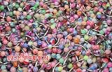 Wholesale LOT 50 16g Eyebrow Body Jewelry Tragus BROW
