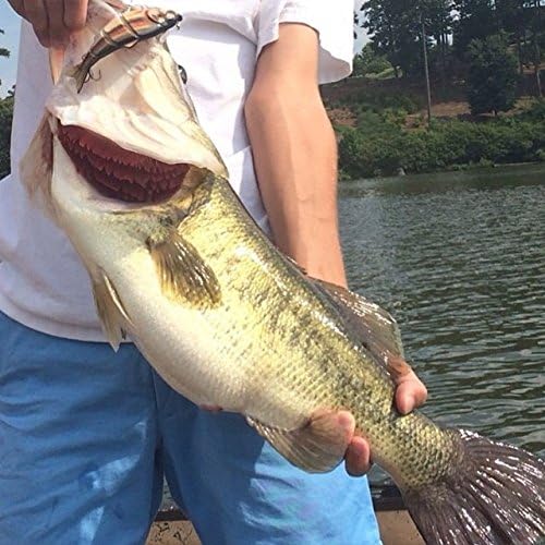 Aqua Relic Fatty - Blaze Shad