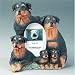 Rottweiler Dog Breed Photo Picture Frame