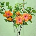 Artificial Hibiscus Stems - Set Of 6 Stems, Salmon