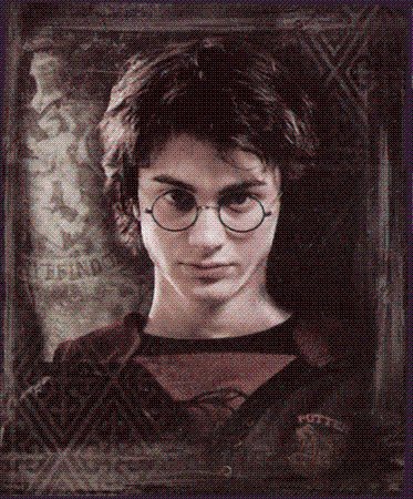 Harry Potter Order of the Phoenix Fleece Blanket (Measures Approximately 50 x 60)