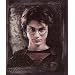 Harry Potter "Order of the Phoenix" Fleece Blanket (Measures Approximately 50" x 60")