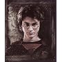 Harry Potter "Order of the Phoenix" Fleece Blanket (Measures Approximately 50" x 60")