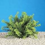 ASIAN AMBULIA - Realistic plastic aquarium plants