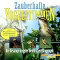 Zauberhafte Vogelstimmen