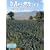 Mexico the Land (Lands, Peoples, and Cultures)