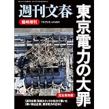 東京電力の大罪 2011年 7/27号 [雑誌]