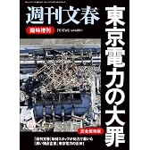東京電力の大罪 2011年 7/27号 [雑誌]