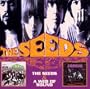 Seeds/a Web of Sound