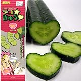 ���i�̏ڍ�