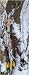 Sport & Fitness : Compound Bogen LITTLE CHASER CAMO Rechtshand