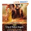 City of Fallen Angels