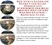Book The Guru's Generate Extra Cash, Sales Models and eCommerce for High Protein Diet Guides Web Biz 3 Course + Resource Guide