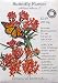Butterfly Flower Seeds