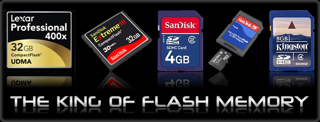 THE KING OF FLASH MEMORY