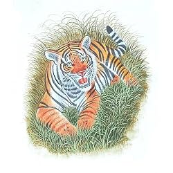 Asia Art Miniatures India Folk Paintings Drawings & Water Color on Paper 6.5 x 10.5 inches